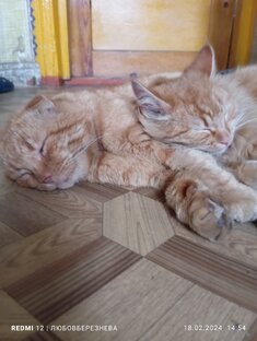Ведем хозяйство