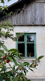 Снести нельзя помиловать