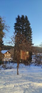 Байки столетнего хутора