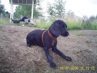 Музей в Ижевске - зверопарк. Зоопарк в Ижевске