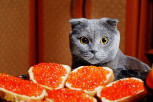 на 350 рублей в неделю