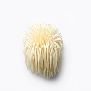 Целебные грибы