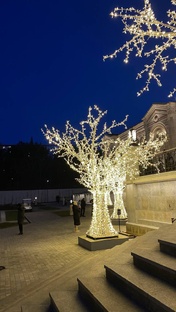 Видео и ролики