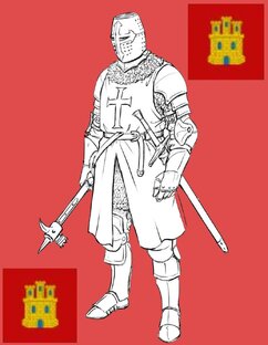 Орден в бою