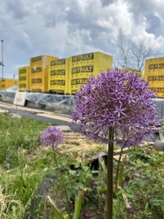 О жизни Bavaria-Bau