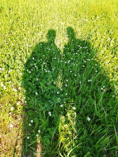 Пешие путешествия