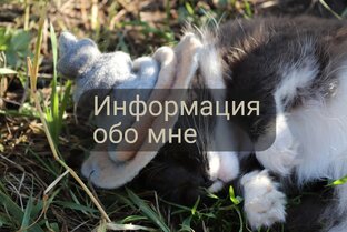 Информация обо мне
