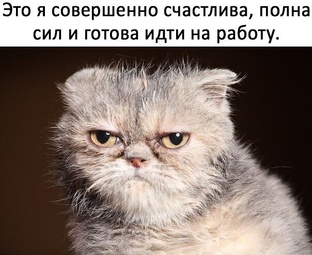 Мотивация