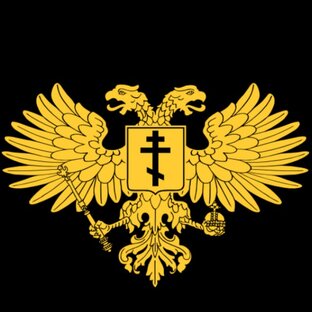 женщина пролила чернила😨
