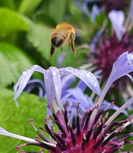 Света хочет похудеть. 3 попытки