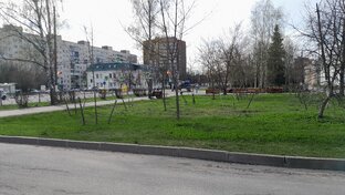 Красивая природа
