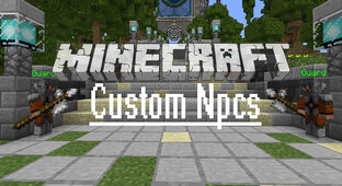 Сustom NPCs