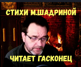 Стихи Марии Шадриной читает Гасконец