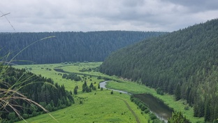 Пермский край
