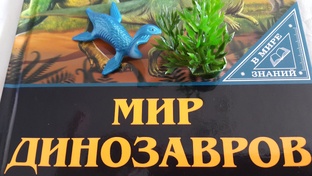 кадры из серий...