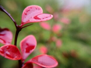 Велосипед и дела сердечные