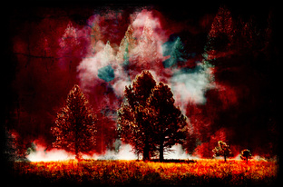 Роман ужасов: "Глухомань 2".