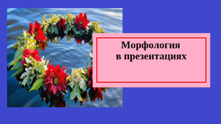 Морфология в презентациях