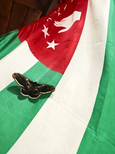 Абхазия в кадре