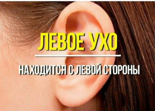 Интересные факты