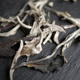 Белый чай 白茶