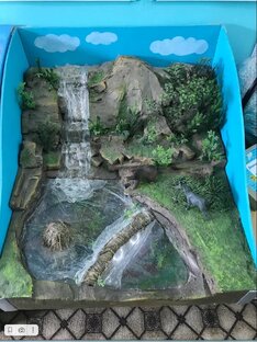 Земля- наш общий дом