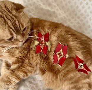 Кошки и брошки