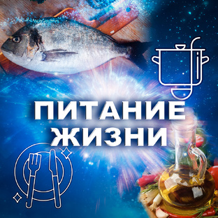 Питание жизни