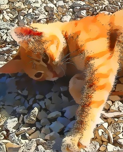 Комиксы про котиков. 