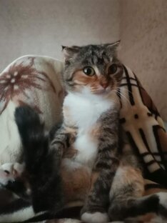 Мой любимчики