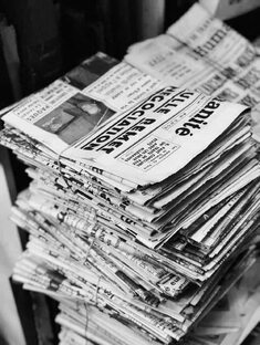 Журналистика