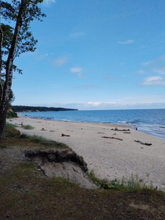 п. Янтарный Калининградской области. Июль 2025