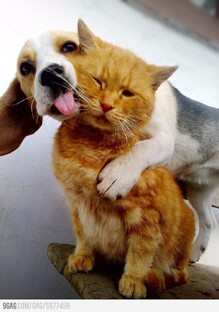 Короткие приколы