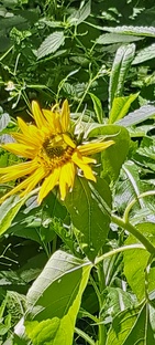 Счастье каждый день