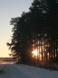 Ведьма Книга 1