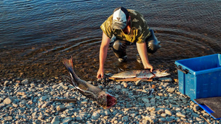 Таежная кухня - сезон 2023