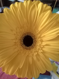 Психология 