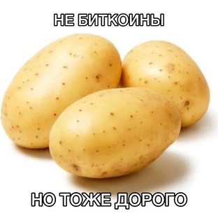 6_Литература, нормативка