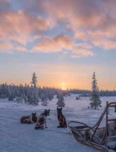 Северная Америка