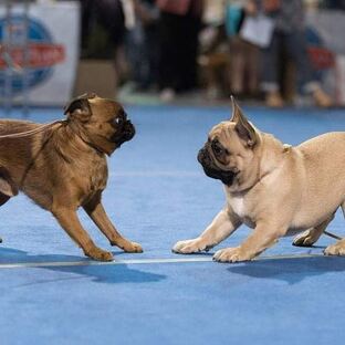 Социализация