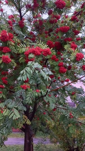 Новокузнецк 