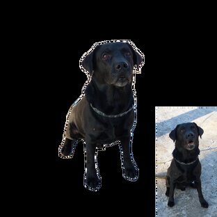 Самые лучшие, самые дорогие мне друзья!