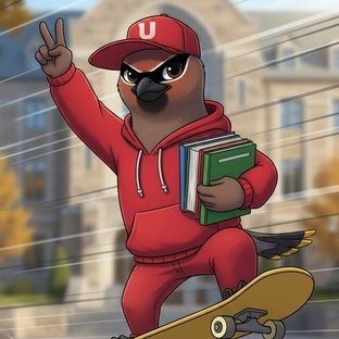 Направления обучения