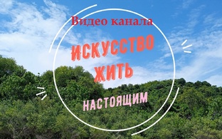Видео канала