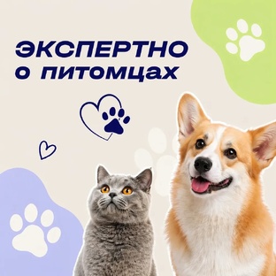 Экспертно о питомцах
