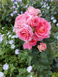 просто о женском организме