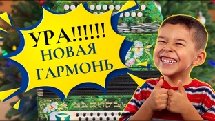 Гармонь "Тульская 301М" от Павла Уханова