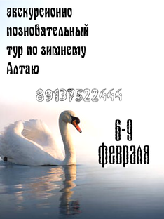 Тур по Алтаю