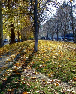 Севастополь. Осень на Городском холме. Владимирский собор Фото Александра Данчен