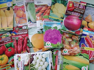 Подборки 2026 сортов разных овощей